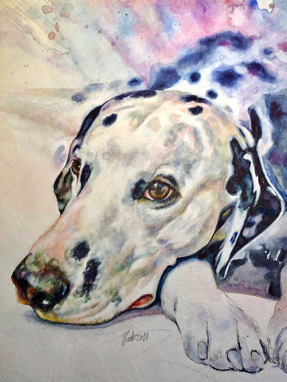 Portrait of Carmino, dalmatian dog painted in oil on canvas; Porträt von Carmino, Dalmatinerhund, gemalt in Öl auf Leinwand