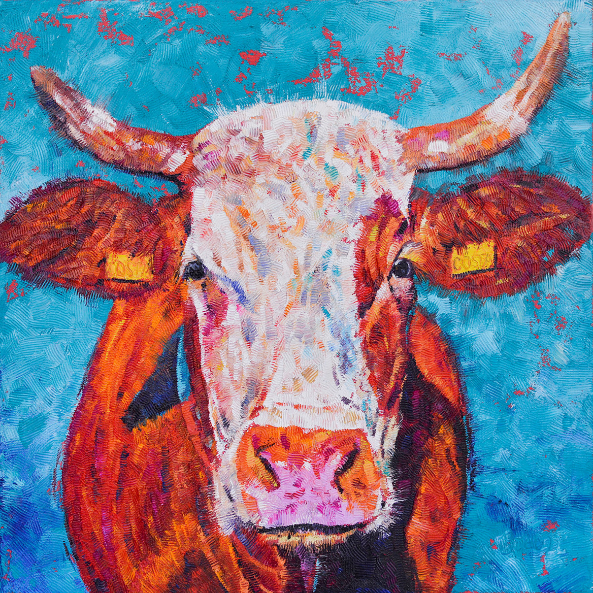 Portrait of Cow named Costa