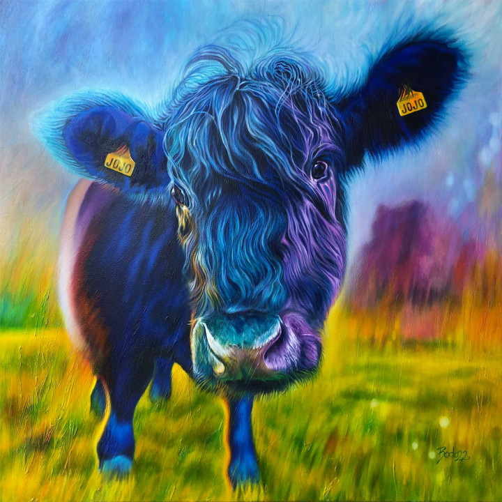 Portrait painting of a galloway cow; Porträtgemälde eines Galloway-Rindes