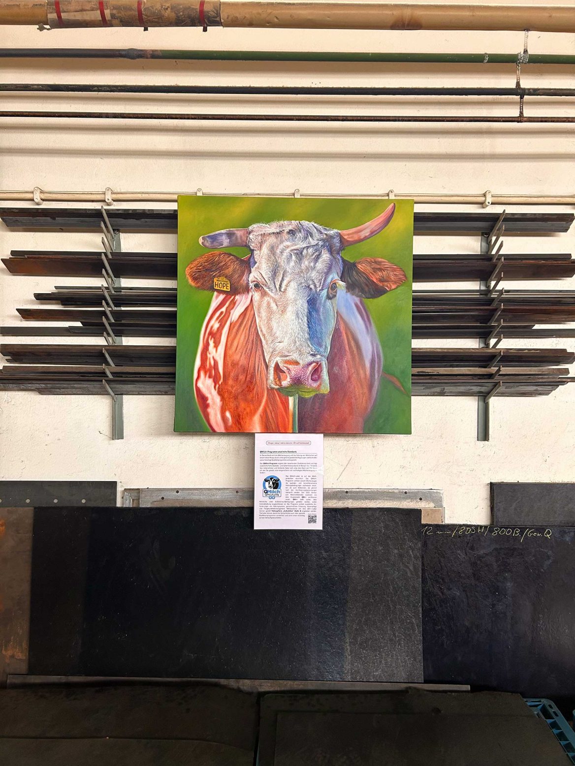 Das Porträt der Kuh Hope mit grünem Hintergrund ist an einem Regal befestigt, auf dem verschiedene Metallleisten gelagert sind, auf dem Fußboden stehen horizontal gestapelten Gummiplatten. Unter dem Gemälde befindet sich ein Informationsblatt über das freiwillige Qualitätsprogramm „QMilch”. Über dem Gemälde verlaufen mehrere Rohre.