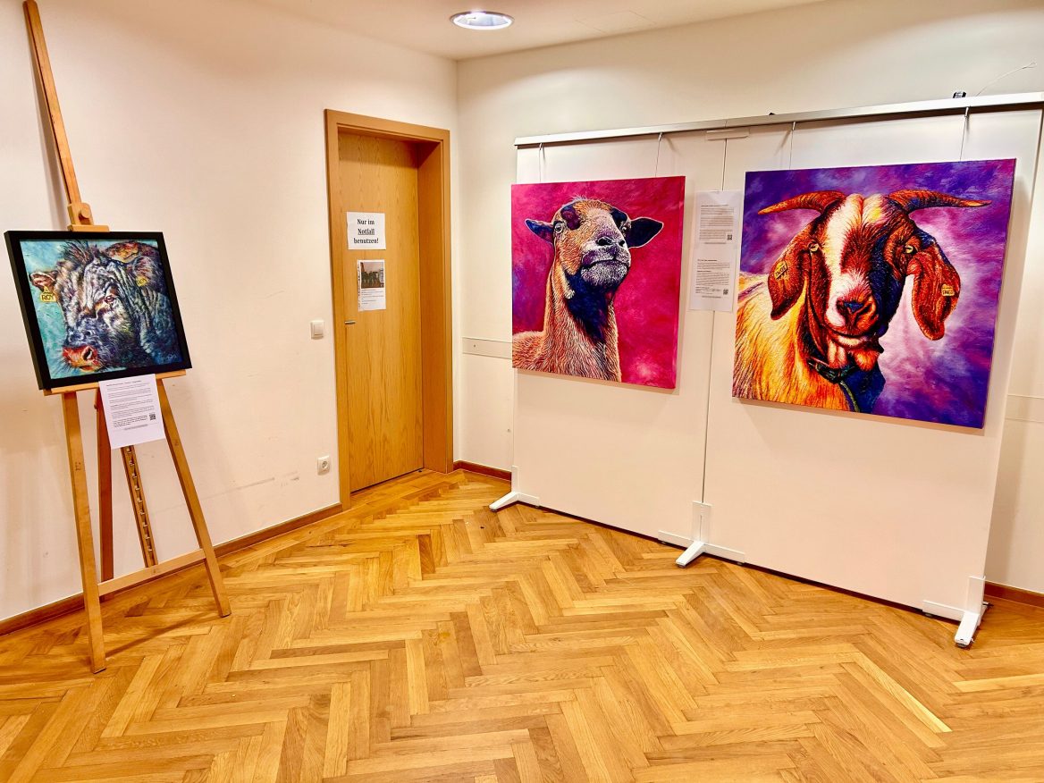 Ein Ausstellungsraum mit Fischgrätparkett zeigt drei Porträtgemälde von Nutztieren in leuchtenden Farben. Links auf einer Staffelei befindet sich ein Bild eines Stiers, rechts hängen auf einer Stellwand das Bild eines Kamerunschafes und daneben ein weiteres Gemälde einer Ziege, jeweils mit einem pink-lila Hintergrund. An der Wand sind Infoschilder angebracht.