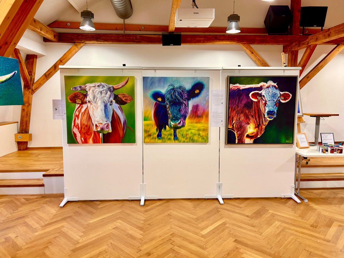 Drei farbenfrohe Gemälde von Kühen sind auf einer Stellwand ausgestellt. Jedes Bild zeigt eine Kuh in leuchtenden Farben und vor lebhaften Hintergründen. An der Wand sind auch Informationsblätter zu den Kunstwerken angebracht. Rechts ist ein Tisch mit Merchandise-Produkten des Künstlers zu sehen.
