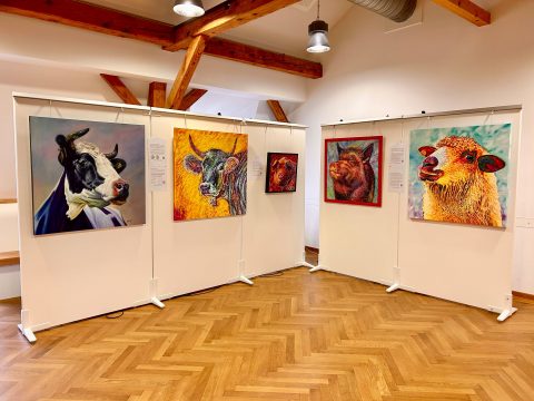 Der VHS-Ausstellungsraum mit Parkettboden, Holzbalkendecke und modernen Leuchten. An den Stellwänden hängen bunte, detailreiche Tierporträts auf Leinwänden von zwei Kühen, zwei Schweinen und einem Schaf.