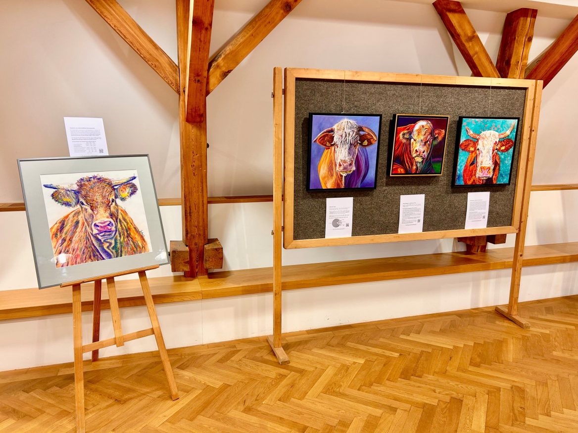 Ausstellungsraum mit Holzboden und Balken. Links steht auf einer Staffelei eine gerahmte Pastellzeichnung von einer Kuh. Rechts hängen an einer Stellwand drei farbenfrohe Ölgemälde mit Kuhporträts. Unter den Bildern befinden sich Infoschilder.