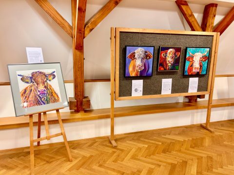 Ausstellungsraum mit Holzboden und Balken. Links steht auf einer Staffelei eine gerahmte Pastellzeichnung von einer Kuh. Rechts hängen an einer Stellwand drei farbenfrohe Ölgemälde mit Kuhporträts. Unter den Bildern befinden sich Infoschilder.