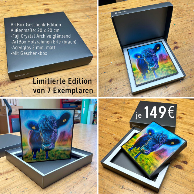 Fine Art Print, framed, Acryl glas, present box, Edition of 7 copies